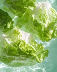 Crisp iceberg lettuce submerged in clear water food fresh produce underwater view nature concept