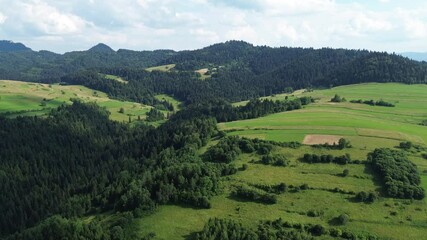 Wall Mural - Scenic forest park in mountains, captured by drone in bright morning