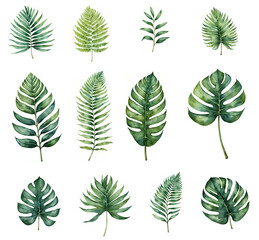 Wall Mural - Set of tropical leaves in watercolor