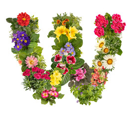 Wall Mural - Letter W made of various colorful flowers