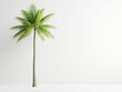 © aka_artiom - Stunning Coconut Palm Tree Set Against a Clean White Background