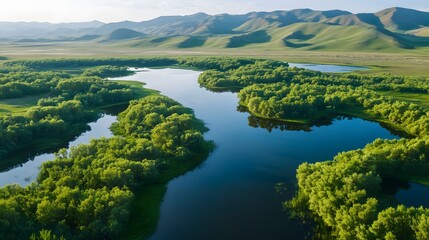 Aufkleber - Aerial view of Pe lush Naiman Nuur lakes surrounded by dense green forests under soft light, in 4K resolution