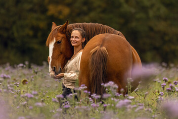 Wall Mural - A woman and her Lusitano horse cuddling and interacting on a wildflower meadow in autumn outdoors