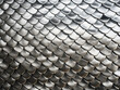 © Llama-World-studio - Silver fish scales texture with a square pattern background