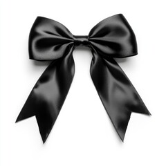 Wall Mural - Black bow on white background