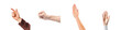 © taelefoto - Dynamic Hand Gestures Showcasing Various Expressions of Communication and Emotion in Isolated Background