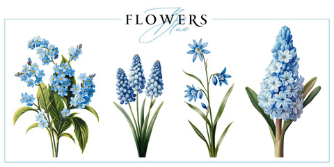 Blue spring first flowers isolated on a white background. Vintage painting style illustration.