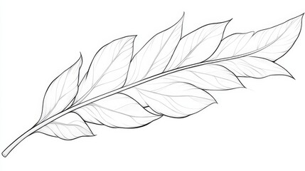 Wall Mural - Elegant Single Quill Outline, Delicate Feather Illustration, Black and White Line Art for Coloring
