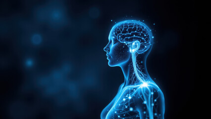 Wall Mural - Illustration of a human torso with highlighted internal organs and nervous system, focusing on the Vagus Nerve Stimulation (VNS).