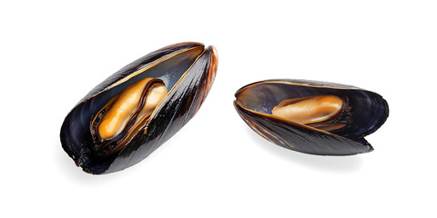 open mussel shell with orange flesh on a transparent background
