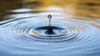© Alfath - Water droplet impact, creating concentric ripples on calm water surface.