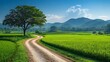 © Purnomo adi - Winding dirt road through vibrant green rice paddy fields towards majestic mountains under a sunny sky.