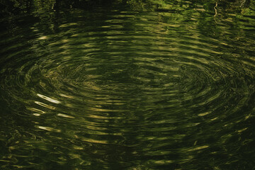 Wall Mural - A perfectly round ripple in still water with a faint reflection