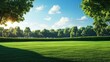 © DigitalDruid - Serene morning landscape featuring a vibrant green lawn and lush trees beneath a clear blue sky illuminated by gentle sunlight.