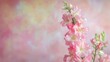 © VirtualVista - Delicate pink Antirrhinum majus flowers against a soft pastel background showcasing their beauty and elegance in floral imagery
