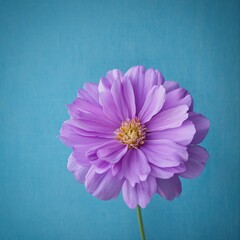 Wall Mural - Delicate Lavender Flower Blooming Against a Vibrant Blue Background