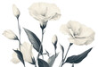 © Rawpixel.com - PNG Lisianthus blooms art illustration flowers.
