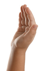 Wall Mural - Little child on white background, closeup of hand