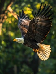 Sticker - Bald eagle in flight