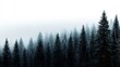 © VISUAL BACKGROUND - A group of trees that are covered in snow in a forest
