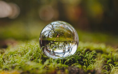 Wall Mural - A clear, spherical glass object, possibly a crystal ball, placed on a bed of vibrant green moss. 