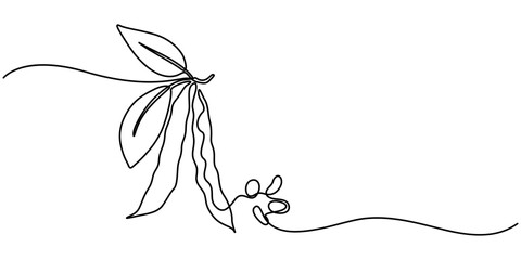 Fava beans simple color vector illustration. One continuous line art drawing with lettering organic fava beans, pro vector illustration isolated on white background.  beans vector pattern for vegan .