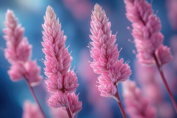 Wall Mural - A close-up shot of a group of pink flowers, great for nature and floral-related themes