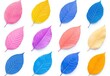 © typepng - A variety of clear silhouettes of delicate leaf skeletons set against a multicolored background of blue, violet, lilac, and pink. A floral pattern showcasing stunning leaves in a nature macro
