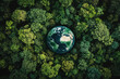 © MOUNSSIF - Forest, planet earth with trees, climate change, global warming, sustainable lifestyle, ecology and environment