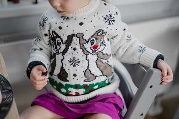 Small cute children sweater with Christmas winter chipmunks and decoration animation. Cute apparel for festive spirits