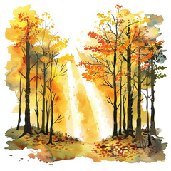 Wall Mural - a watercolor vector of a fall forest with rays of sunlight filtering through, isolated on a white ba