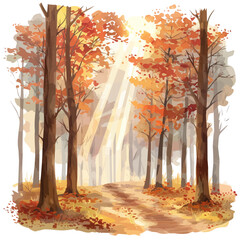 Wall Mural - a watercolor vector of a fall forest with rays of sunlight filtering through, isolated on a white ba