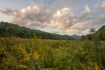 Wall Mural - Late Evening Light Hits The Clouds Over Cataloochee Valley