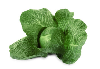 One ripe head of cabbage isolated on white