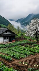 Wall Mural - A small house sits in a field of vegetables