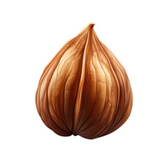 A detailed illustration of a single hazelnut showcasing its smooth texture and natural color, perfect for food or nature themes.,transparent background