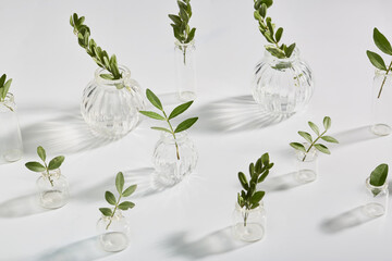 Wall Mural - minimalistic natural composition. small vases on a white background