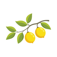 lemons on branch isolated flat vector illustration on white background.