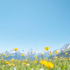 Wall Mural - Tranquil Alpine Meadow in Spring Bloom Yellow Flowers and Majestic Mountains Under Clear Blue Sky
