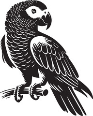 black and white parrot silhouette