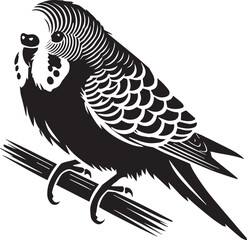 budgerigar silhouette