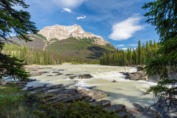 Wall Mural - Athabasca river in Jasper National Park, Alberta, Canada. Canadian Rockies summer landscape. Mount Kerkeslin in the background.