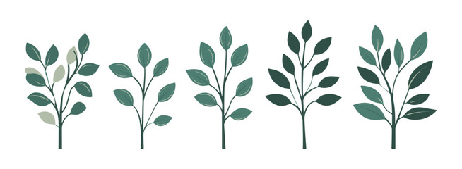 set of tree and leaf collection hand drawn flat design vector element. botanical set of bare trees a