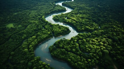 Poster - Breathtaking drone aerial view of a meandering river carving through the heart of a dense verdant rainforest  This serene natural landscape showcases the beauty and wonder of the untamed wilderness