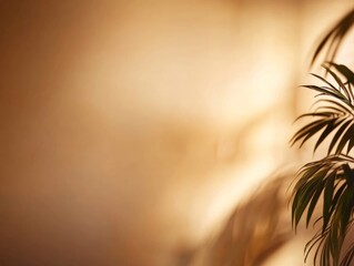 Poster - Delicate shadows of palm tree leaves create an intricate pattern on a light cream wall, showcasing the beauty of natural light's influence at any time