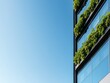 © Elena - A sleek glass office structure features integrated vertical greenery that mirrors a clear blue sky, showcasing sustainable architecture in a modern city environment