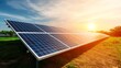 © WanCorp - Solar Panels in Open Field at Sunset