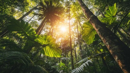 Wall Mural - Vibrant Forest Scene with Bright Light and Lush Foliage