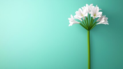 Poster - Elegant White Daisy Bouquet on Pastel Green Background