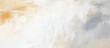 © abu - Abstract beige and grey painted texture.